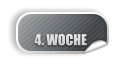 4. WOCHE