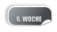 6. WOCHE